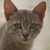 Jessica Davis (@jessica04532945) Twitter profile photo Jessica Davis (@jessica04532945) Twitter profile photo