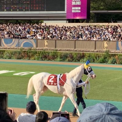 競馬用アカウント/中山or東京競馬場に出没/重賞予想は備忘録/23年重賞回収率116%/24年重賞回収率100%/固定ツイ⭕️馬券的中❌ハズレ/年間回収率100%超えが目標/楽しむことを優先