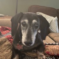 Bryan Auer (@bauerfett) 's Twitter Profile