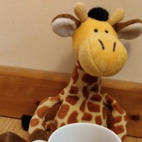 Derek Beeky (@derekbeeky) 's Twitter Profile