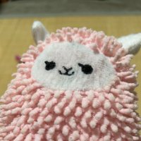 Kaityo (@kaityo_en) 's Twitter Profile