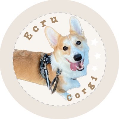 Corgi_Ecru's profile picture. コーギーのエクル　2021/9/27生まれの男の子 2021/12/21にお家にやってきました