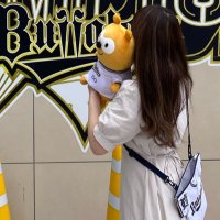 pナッツ (@p_orix) 's Twitter Profile