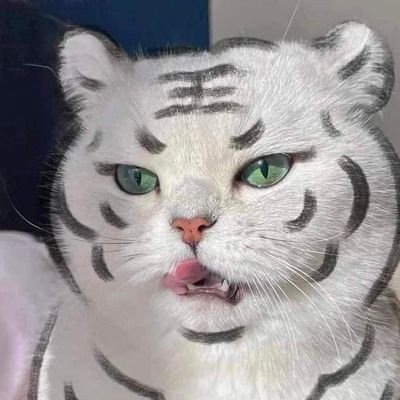 mrBellantine's profile picture. 🌈 ชีวิตมันเศร้า