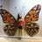 apple_boram's profile image