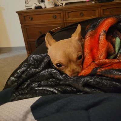 mitdotson29605's profile picture. I love my family including my fur family!!!!
Domestic abuse survivor 💜
Sadly disabled!
Doing what I can to help find the missing!!!!
Bring the missing home!!!!