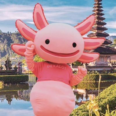 Ray230521's profile picture. Influencer & Community Manager Indonesia 🇮🇩