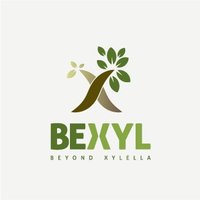 Bexyl Project (@bexylp) 's Twitter Profile