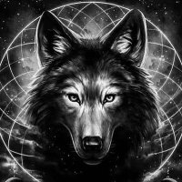 Black Wolf(@1972BlackWolf01) 's Twitter Profile Photo