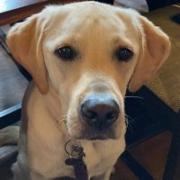 Jane Casablanca (@casablancajane) 's Twitter Profile Photo