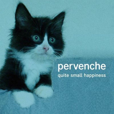 A quiet psychedelic band that combines experimentation and tenderness, influenced by VU, Felt, and Young Marble Giants.