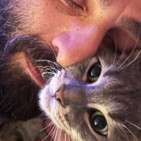 Bülent ÖZER 🦅 (@blntozr) 's Twitter Profile Photo