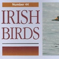 Irish Birds(@IrishBirds) 's Twitter Profile Photo