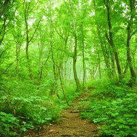 明花 (@ohz8rkq3k1v1jlq) 's Twitter Profile