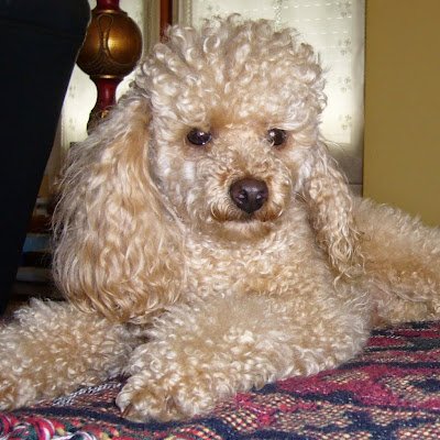 valentinet_sm's profile picture. 