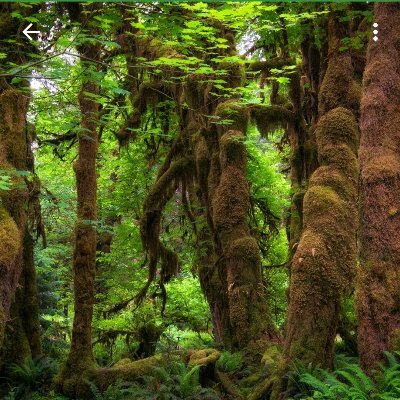 chinedu97595137's profile picture. NWAKAIBEYA, BUSINESS ANALYST.