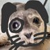 sidney chinchilla (@sidney_chilla) Twitter profile photo sidney chinchilla (@sidney_chilla) Twitter profile photo