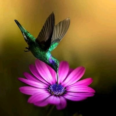 Soniapr79139530's profile picture. 