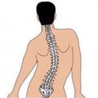 이러고있다 (@gocarpe98) 's Twitter Profile