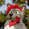 BottomWuff