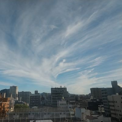 nyanchu925's profile picture. 