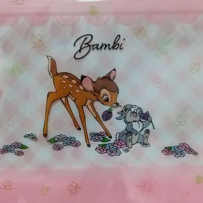 ACHIEKO6's profile picture. 神戸🥂片付け好き🌲動物🐶自然🌿旅行🗻大好き🩷時代の変革期🩵みなさんに感謝🕊️愉しむ🥂夢中なって遊ぶ🐥🎁