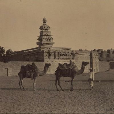 ShubhamXze's profile picture. 