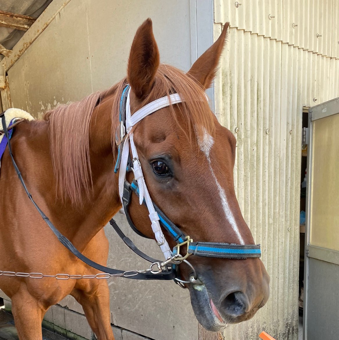 tksnmgmg's profile picture. 雲南の役者さん