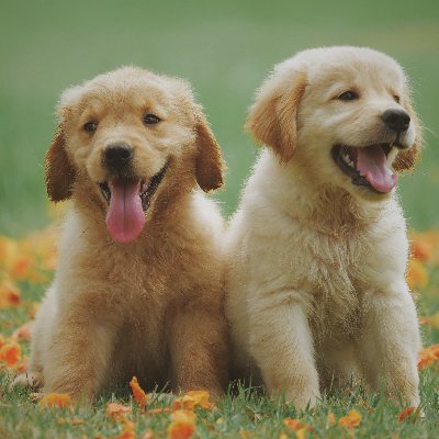 Julfika30652342's profile picture. 