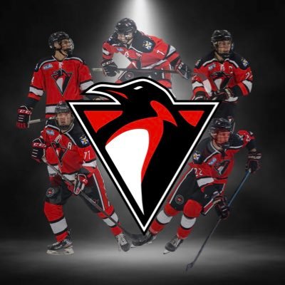 Official Twitter account of the East Hants Penguins Jr. B Hockey Club of the Nova Scotia Junior Hockey League - Fred Fox Division #pEHns #PaintItRed #TheIgloo