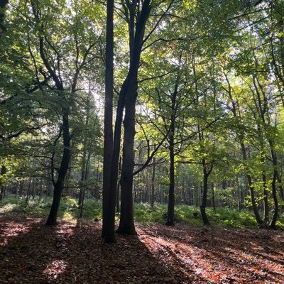 gaynor_maunder's profile picture. 