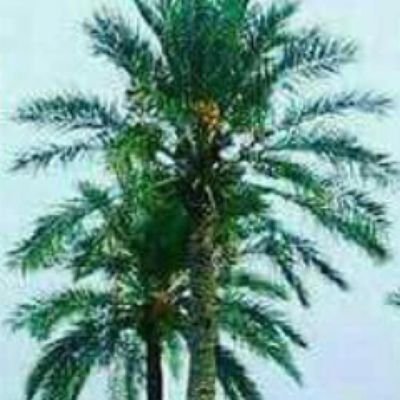 heem202's profile picture. ‏‏‏‏‏‏اشجع الردز ليفربول