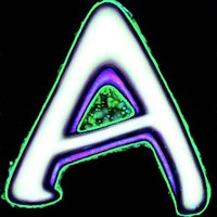 Sanna OUT NOW (@anamism_music) 's Twitter Profile Photo Sanna OUT NOW (@anamism_music) 's Twitter Profile Photo