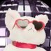 のら犬 (@nuko_mono) Twitter profile photo のら犬 (@nuko_mono) Twitter profile photo