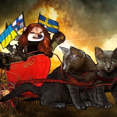 🇸🇪🇫🇮🇺🇦 #nafocatsdivision Slava Ukraini!