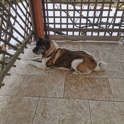 HHiebler's profile picture. 