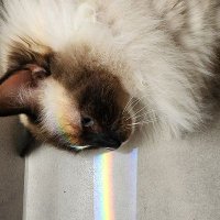 Daniel (@daniel74421464) 's Twitter Profile