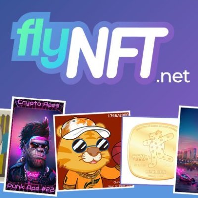 FlyNFTnet Profile Picture