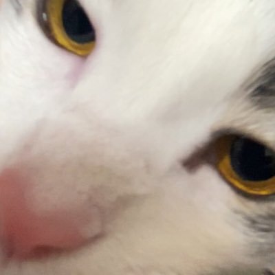 jwolf127's profile picture. 