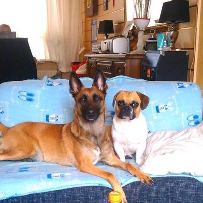 Wendy56490136's profile picture. The truth will prevail !
No DM , only if it really matters !