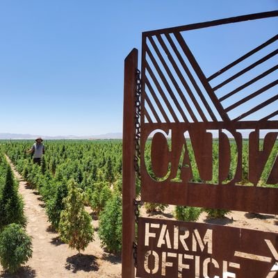 realuisfabian's profile picture. Modern Farmer 🍉