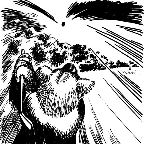 虫 の読み方 日本語 アットマーク イタリア語 かたつむり スウェーデン語 シナモンロール ロシア語 犬 ギリシャ語 小さなアヒル ポーランド語 猿 ドイツ語 猿の尾 ブルガリア語 小さな猿 オランダ語 揺れる猿