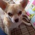 Princesse Poupette (@princesspoupete) Twitter profile photo Princesse Poupette (@princesspoupete) Twitter profile photo