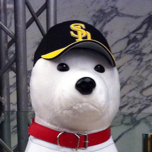 takushock's profile picture. 朱に交われば赤くなるらしい