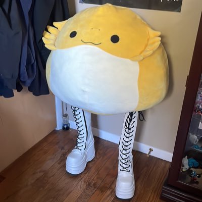 poltergoidman's profile picture. I don't use twitter all too much, but I hope you enjoy your time here. #RatVerified