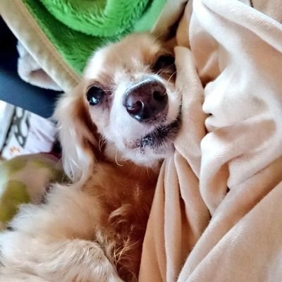 まさんのプロフィール画像