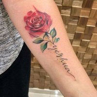 FlorDoceDeAmor◦ೋೋ🌸•◦💙ೋ••◦ (@flordocedeamor) 's Twitter Profile