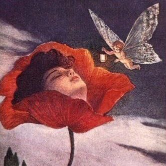 chloehnn's profile picture. amazing human / genius