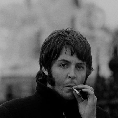 LegalPinguim's profile picture. 