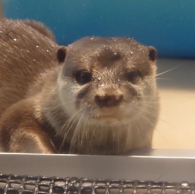 hGANoEEHvPD4T5E's profile picture. 釣りが好き◎海が好き☆フカセ釣り$エギング☆ファミリーフィッシング☆をメインにコツコツ釣りしてます◎生涯釣りよ( ´∀`)/~~